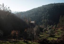 LAND PLOT WITH RUINS