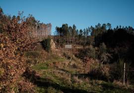LAND PLOT WITH RUINS