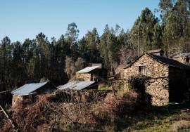 LAND PLOT WITH RUINS