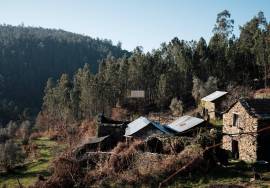 LAND PLOT WITH RUINS