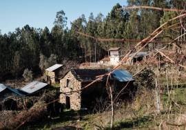 LAND PLOT WITH RUINS