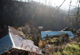 LAND PLOT WITH RUINS