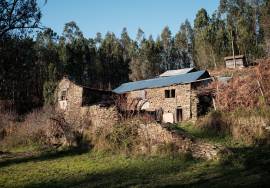 LAND PLOT WITH RUINS