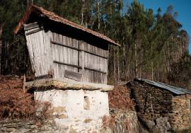 LAND PLOT WITH RUINS