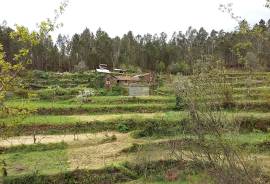 LAND PLOT WITH RUINS