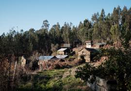 LAND PLOT WITH RUINS