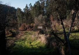 LAND PLOT WITH RUINS