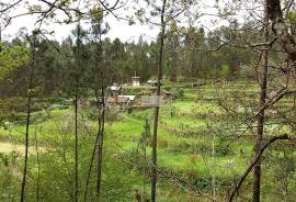 LAND PLOT WITH RUINS