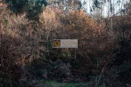 LAND PLOT WITH RUINS