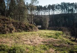 LAND PLOT WITH RUINS