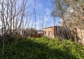 Warehouse and commercial activity