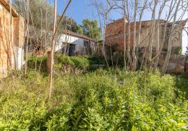 Warehouse and commercial activity