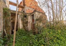 Warehouse and commercial activity