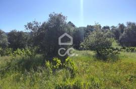 Land with 5710 m2 and feasibility of building a detached house, next to the IC3, in Maçãs de D.ª Maria