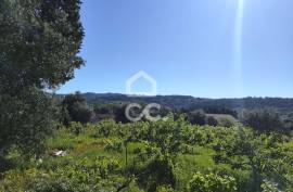 Land with 5710 m2 and feasibility of building a detached house, next to the IC3, in Maçãs de D.ª Maria