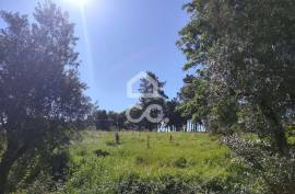 Land with 5710 m2 and feasibility of building a detached house, next to the IC3, in Maçãs de D.ª Maria