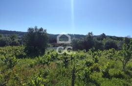Land with 5710 m2 and feasibility of building a detached house, next to the IC3, in Maçãs de D.ª Maria