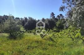 Land with 5710 m2 and feasibility of building a detached house, next to the IC3, in Maçãs de D.ª Maria