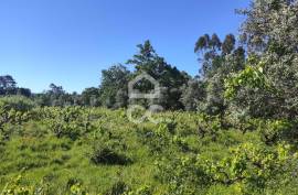 Land with 5710 m2 and feasibility of building a detached house, next to the IC3, in Maçãs de D.ª Maria