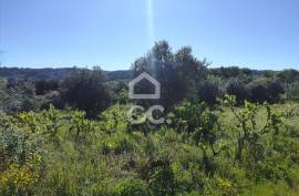 Land with 5710 m2 and feasibility of building a detached house, next to the IC3, in Maçãs de D.ª Maria