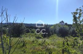 Land with 5710 m2 and feasibility of building a detached house, next to the IC3, in Maçãs de D.ª Maria