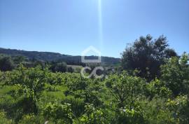 Land with 5710 m2 and feasibility of building a detached house, next to the IC3, in Maçãs de D.ª Maria