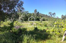 Land with 5710 m2 and feasibility of building a detached house, next to the IC3, in Maçãs de D.ª Maria