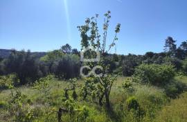 Land with 5710 m2 and feasibility of building a detached house, next to the IC3, in Maçãs de D.ª Maria