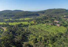 Farm of 3.8 ha located at the gates of São Luís less than 300 meters from the N120 (IC4) road