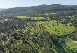Farm of 3.8 ha located at the gates of São Luís less than 300 meters from the N120 (IC4) road