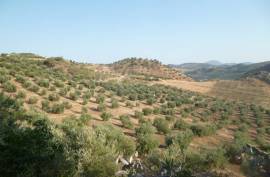 Charco Lucero Land