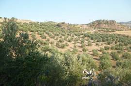 Charco Lucero Land