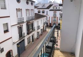 Spacious Bright Apartment