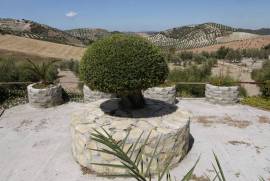 Bonsai Villa Country Property