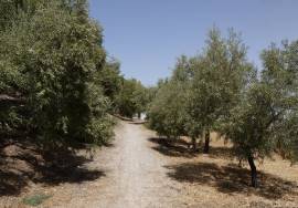 Zahara Country Property