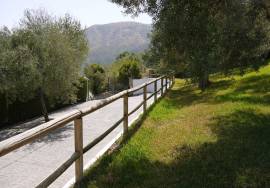 Zahara Country Property
