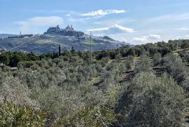 Finca De La Luci Country House