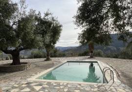 Peaceful Retreat Country Property