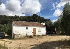 500 Olivos Rural Idyll Country House