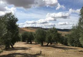 500 Olivos Rural Idyll Country House