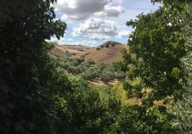 500 Olivos Rural Idyll Country House