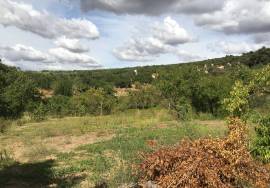 500 Olivos Rural Idyll Country House