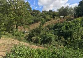 500 Olivos Rural Idyll Country House