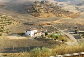 Cortijo Encantador Country Property