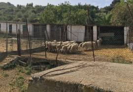 Cortijo Aguacate Country House