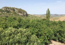 Cortijo Aguacate Country House