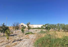 Cortijo Mezquetilla Country House