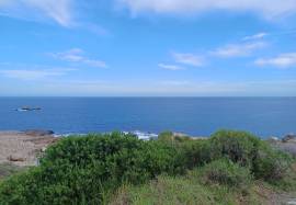 House & Tour Business For Sale In Hermanus South Africa House & Tour Business For Sale In Hermanus South Africa
