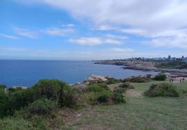 House & Tour Business For Sale In Hermanus South Africa House & Tour Business For Sale In Hermanus South Africa