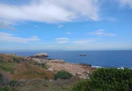 House & Tour Business For Sale In Hermanus South Africa House & Tour Business For Sale In Hermanus South Africa